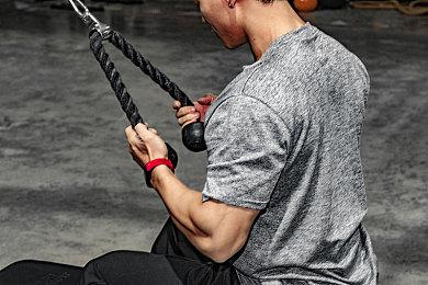 《方舟生存进化》十周年特别DLC“夏日海洋”今日上线，首发折后35元